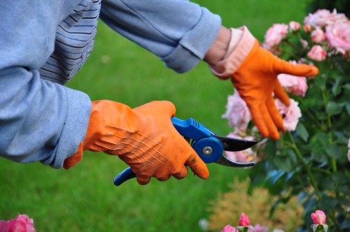Professional landscapers installing landscape lighting in Enfield