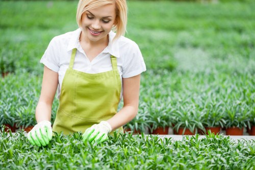 Vibrant assortment of plants suitable for Enfield gardens